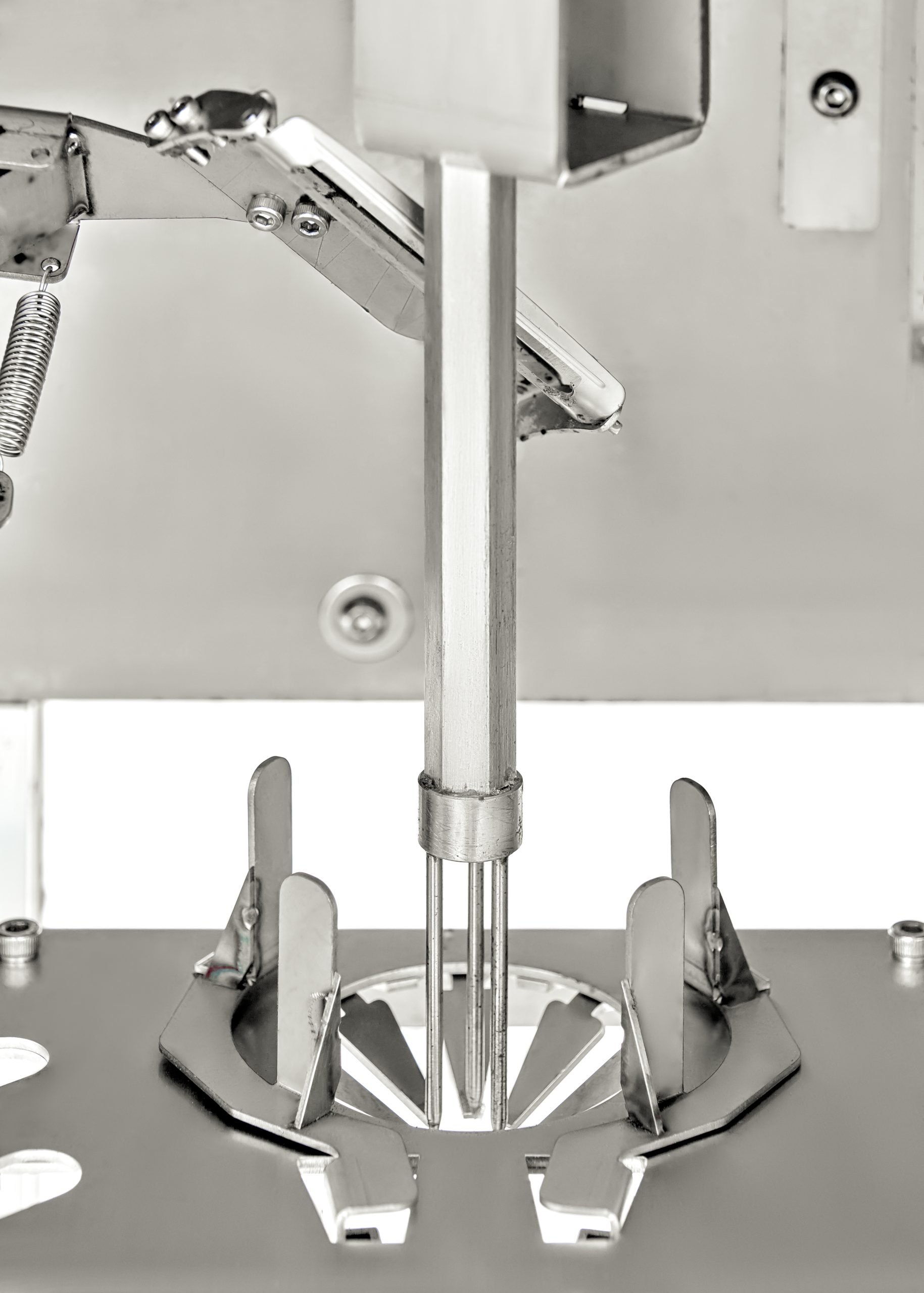 Dobbelthodet Appelsinskreller — miniatyrbilde 3